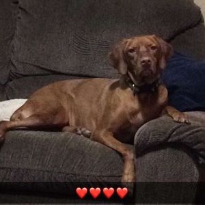 Meet your Posher, Lisa