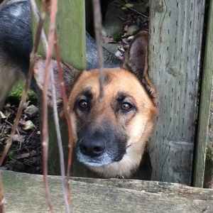 Meet your Posher, Shawna