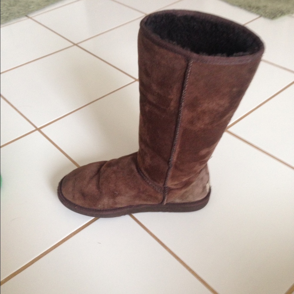 Authentic Chocolate Tall Uggs