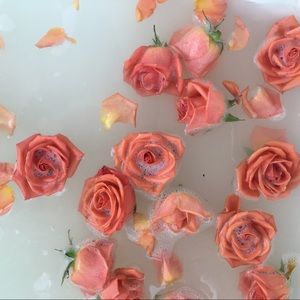 Meet your Posher, Jenni