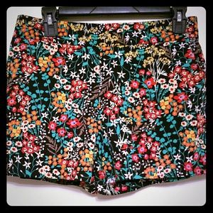 3 pairs New York and Company shorts bundle