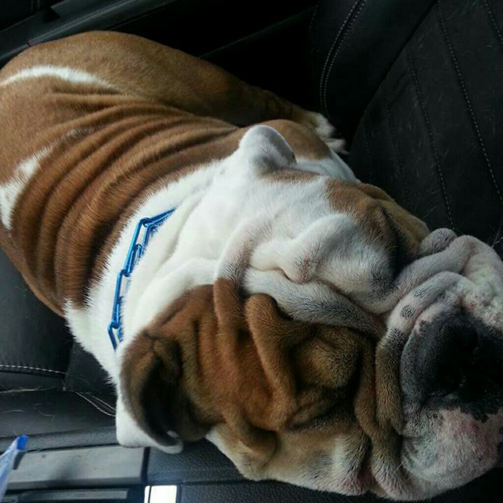 Meet your Posher, Laurie