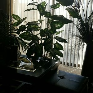 Meet your Posher, Tess