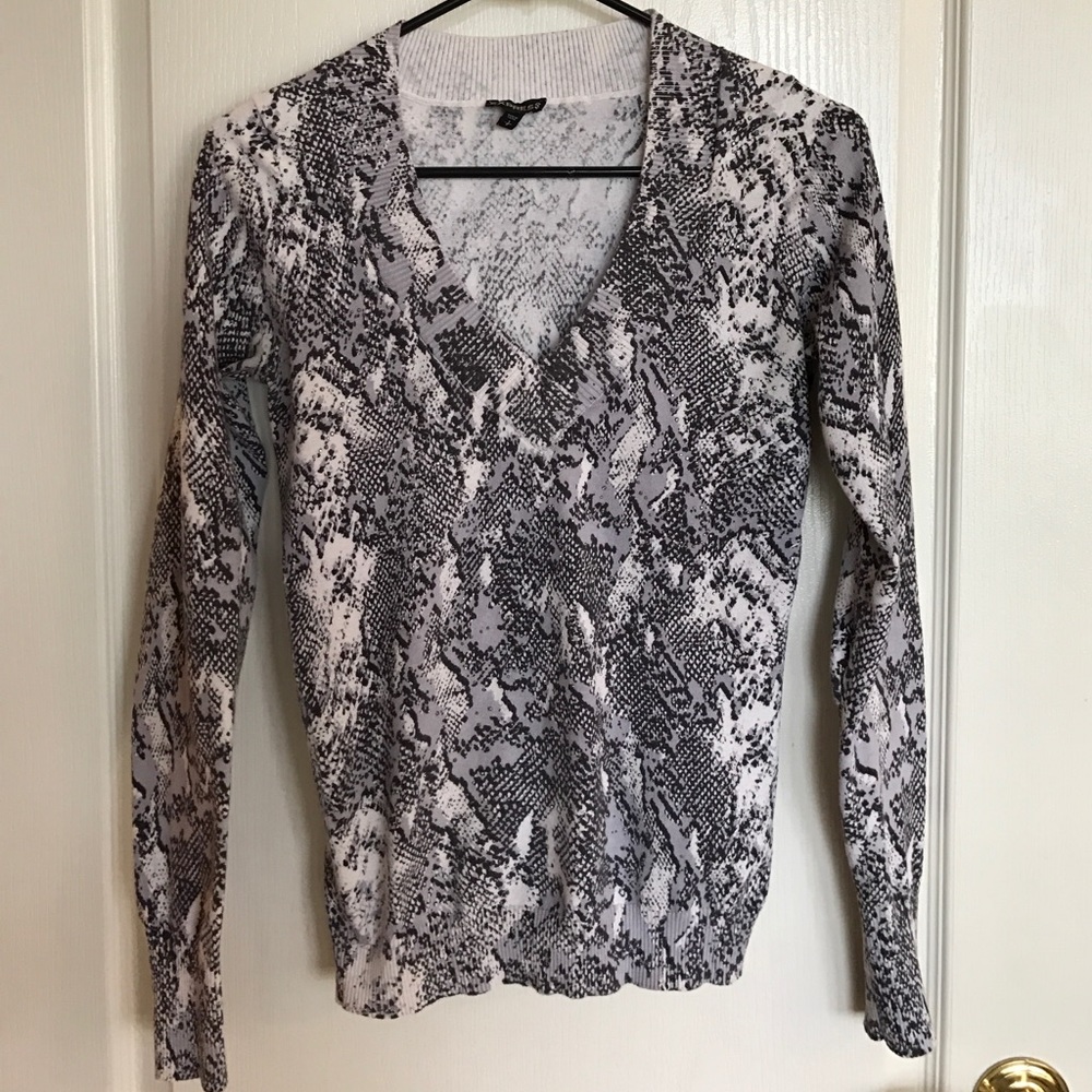 Express Fitted Sweater