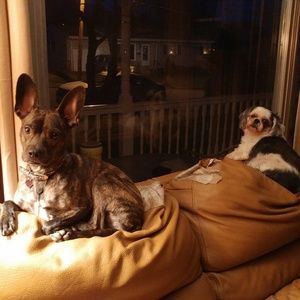 Meet your Posher, Tammy