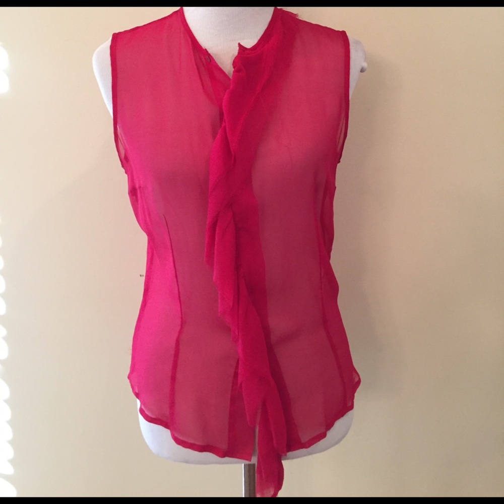 WYETH By Todd Magill Pink Sheer Blouse