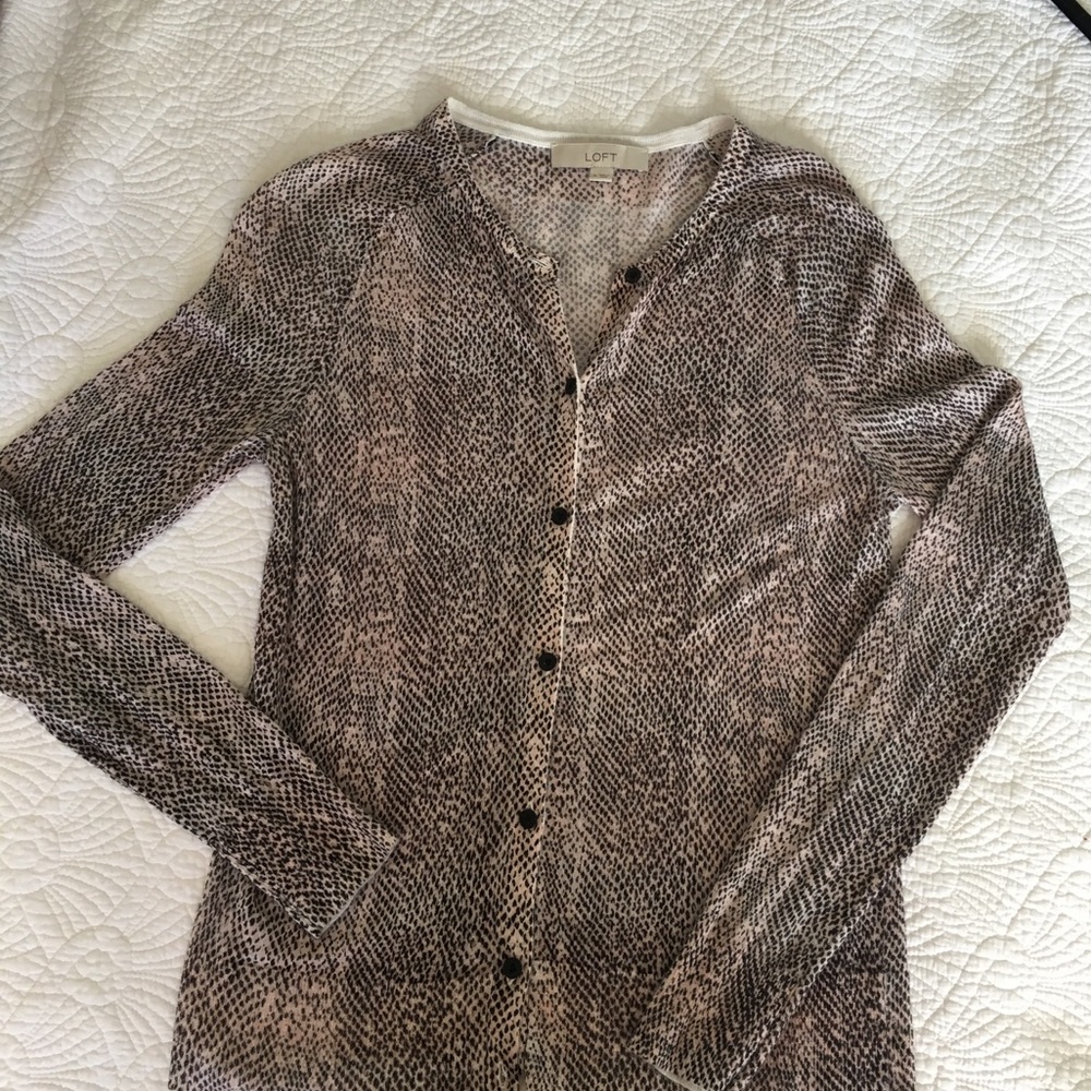 Ann Taylor Loft sweater