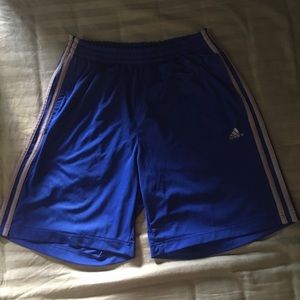 Blue and Grey Adidas gym shorts