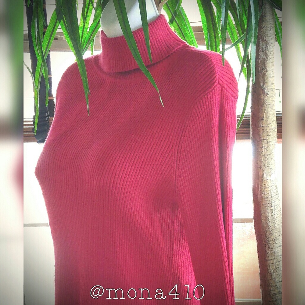 The Limited Red Sweater