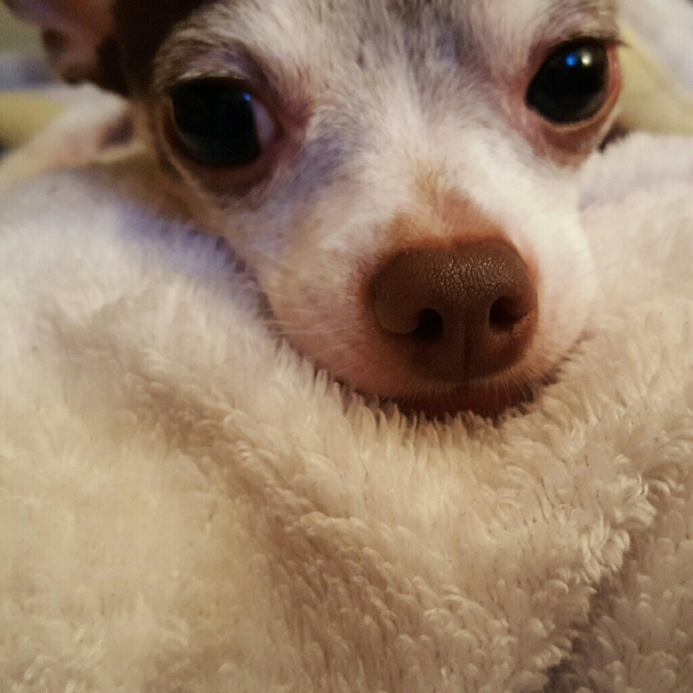 Meet your Posher, Heather