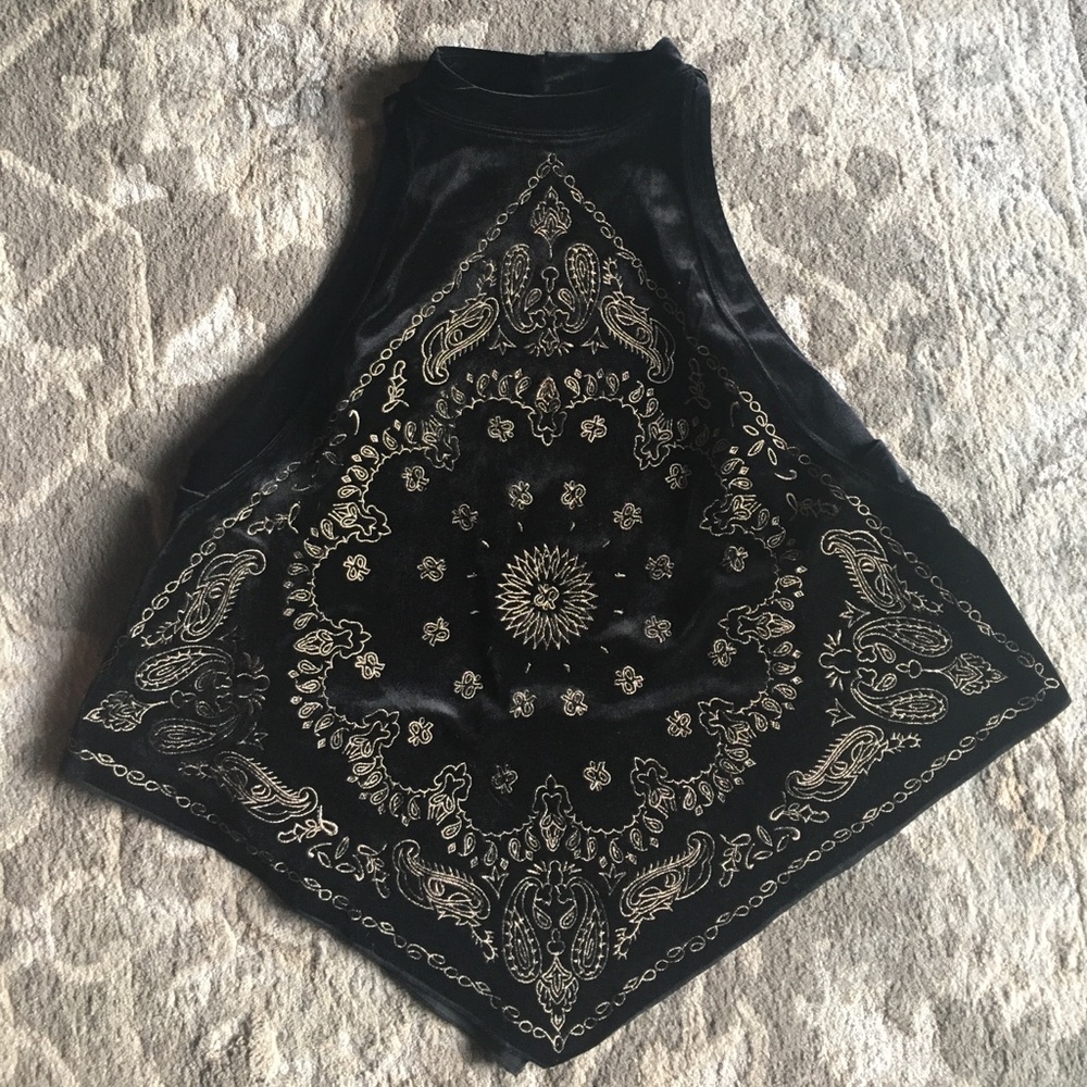 Velvet Embroidered Free People top