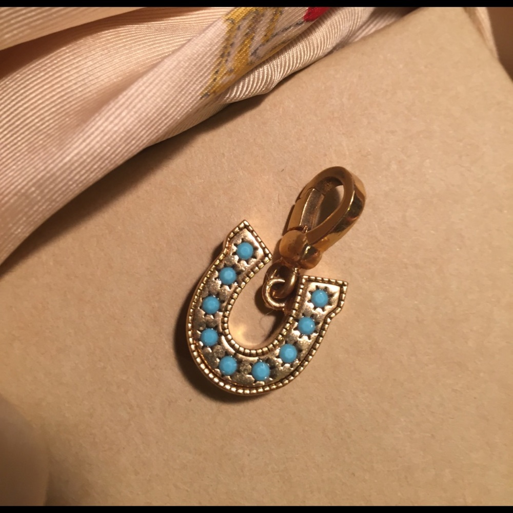 Juicy Horseshoe Charm