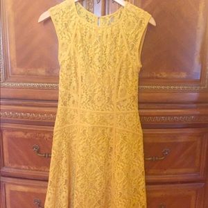 Mustard BCBG Lace Dress