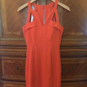 Burnt Orange BCBG Dress