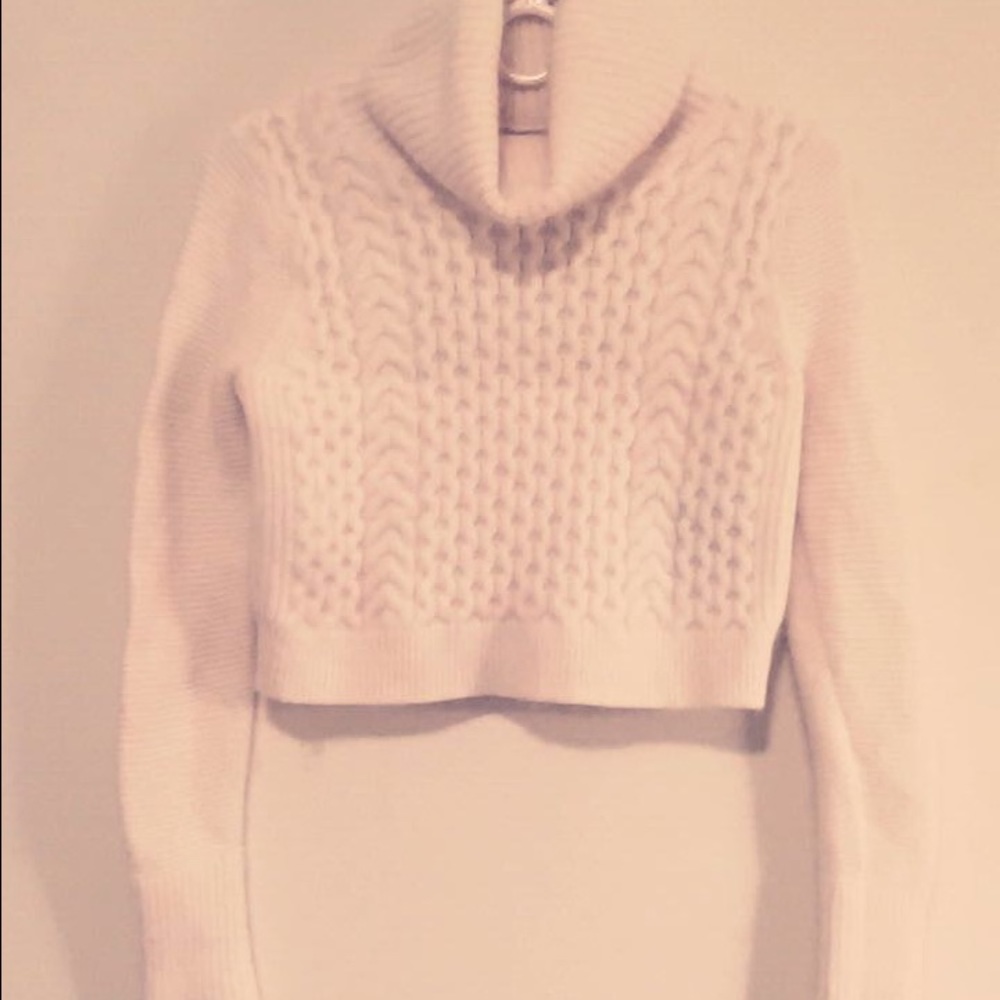 Club Monaco Leala Crop Turtleneck