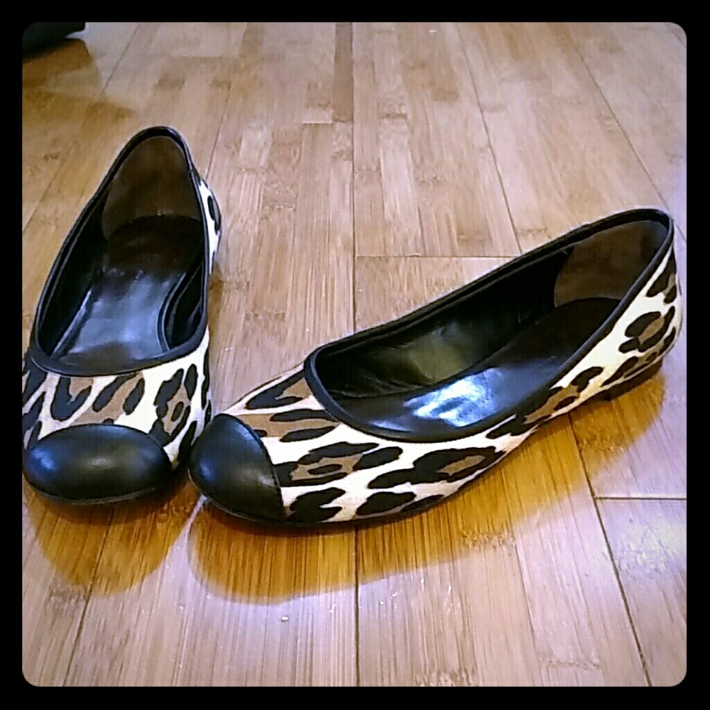 Giuseppe Zanotti Leopard print ballet flats