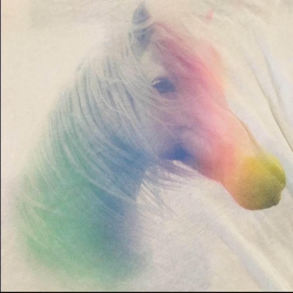 Wildfox rainbow horse tee