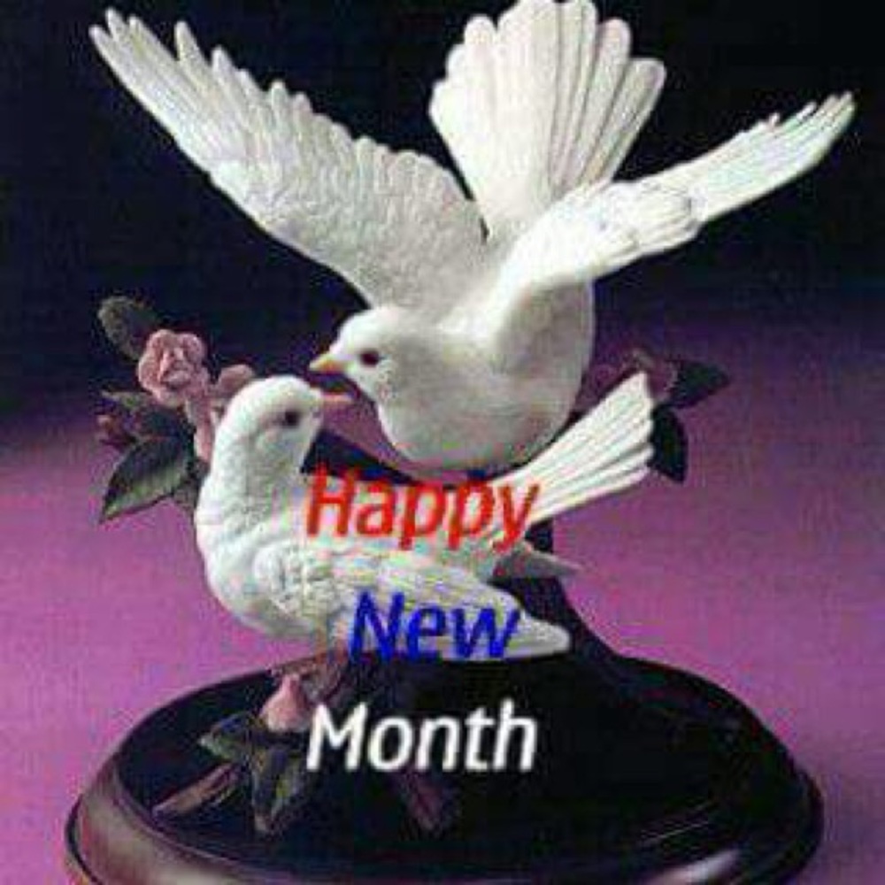 Meet your Posher, Flora