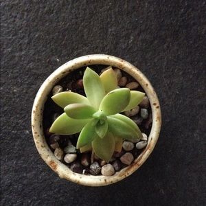 Meet your Posher, Meg