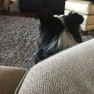 Meet your Posher, Alexcis