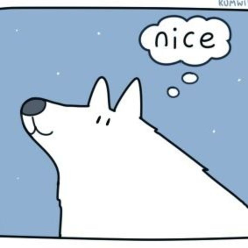 Meet your Posher, Harleigh