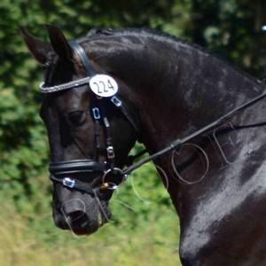 Meet your Posher, Thelma