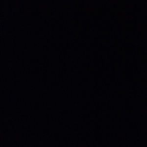 Meet your Posher, Dillon