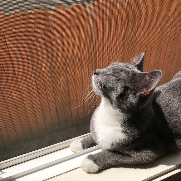 Meet your Posher, Lynn - Picture 1 of 4