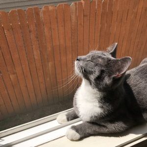 Meet your Posher, Lynn