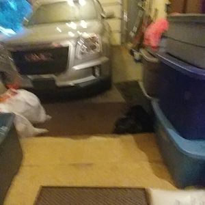 Meet your Posher, Allison