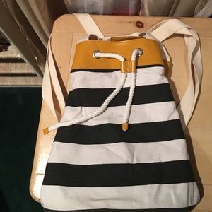 Back pack purse
