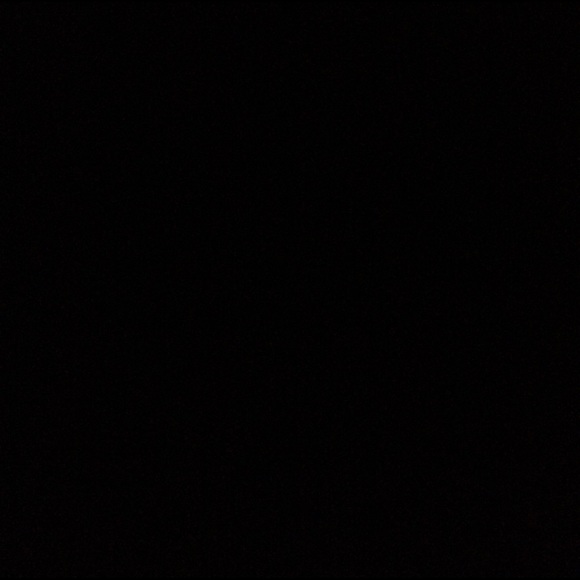 Meet your Posher, Raven - Picture 1 of 1