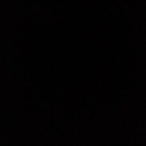 Meet your Posher, Raven