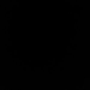 Meet your Posher, Eve