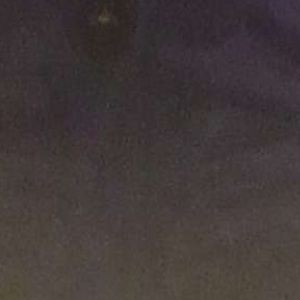 Meet your Posher, Hachi