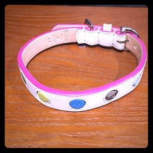 Coach dog collar