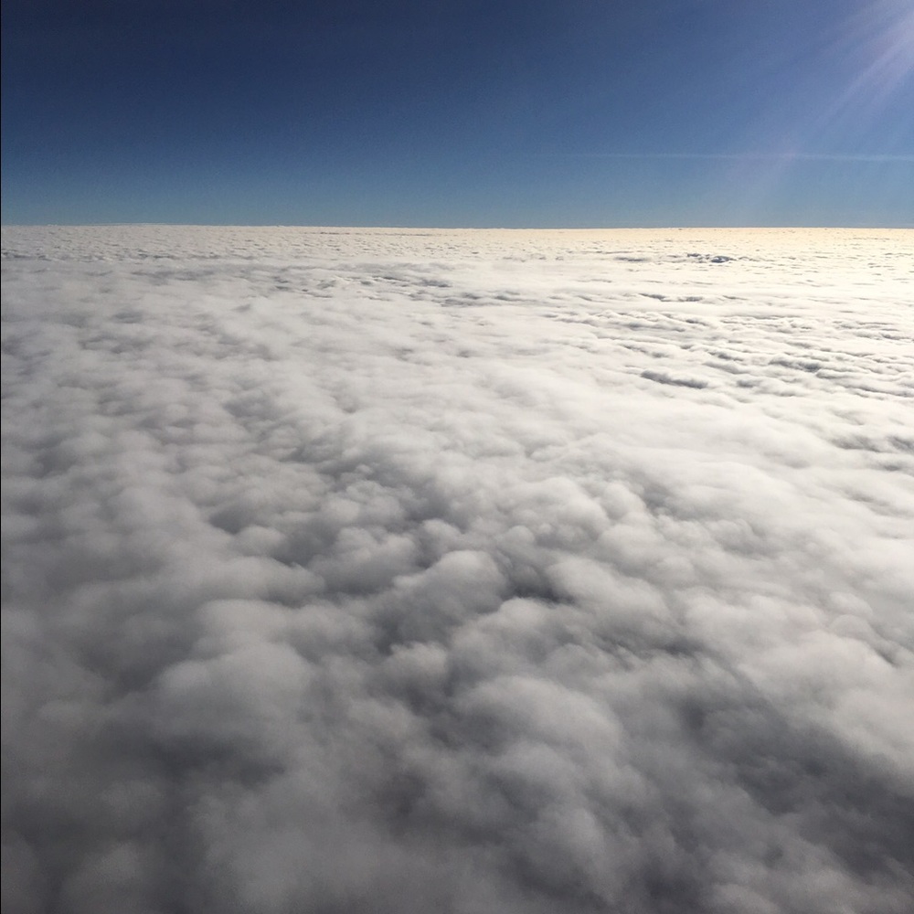 Meet your Posher, Anh thu