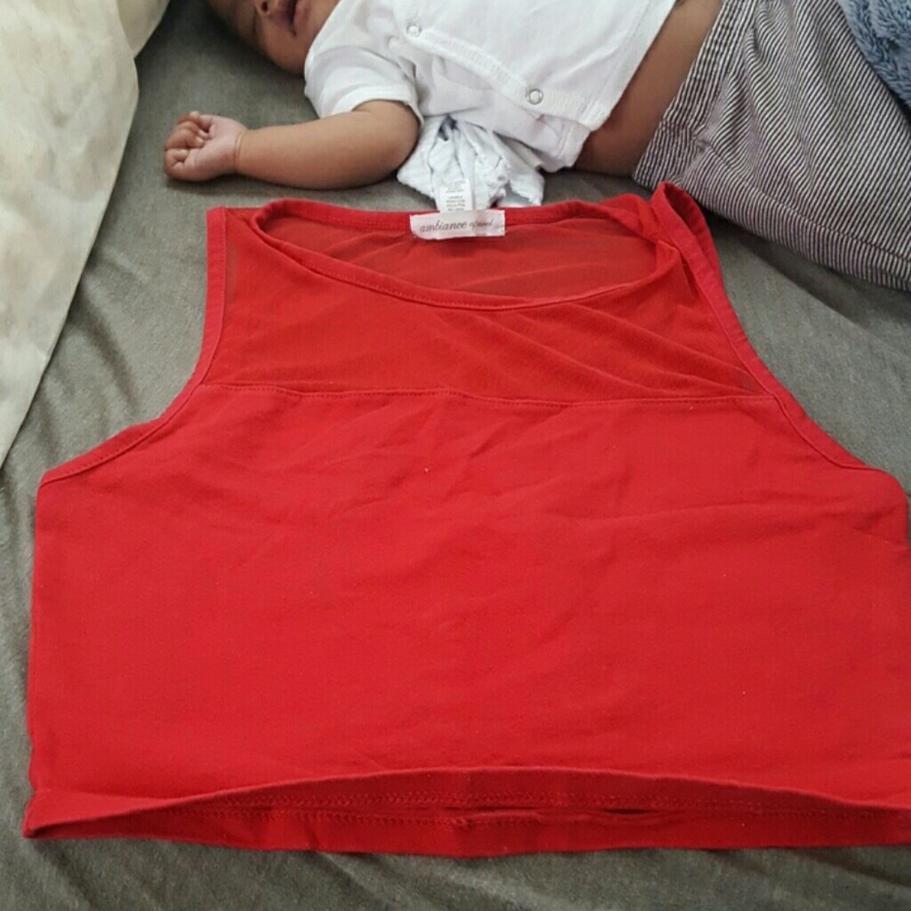 Red Sheer Crop Top