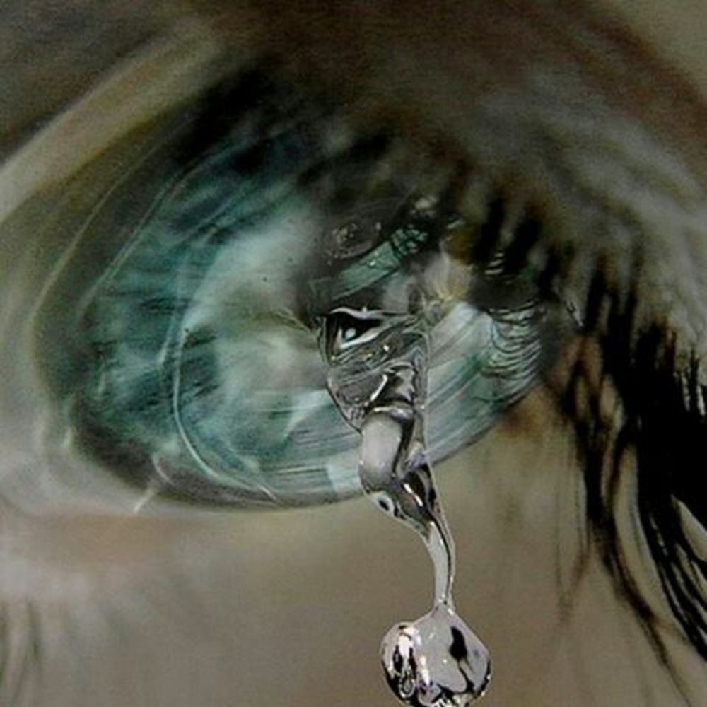 Meet your Posher, Ana