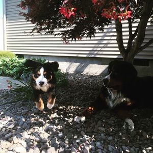 Meet your Posher, Brandilynn