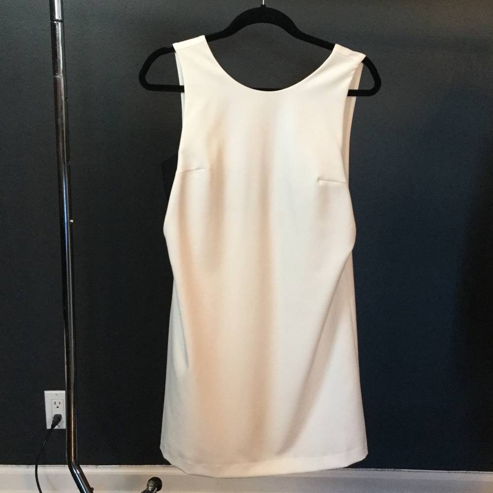 Basic Zara Dress with Side Cut Outs