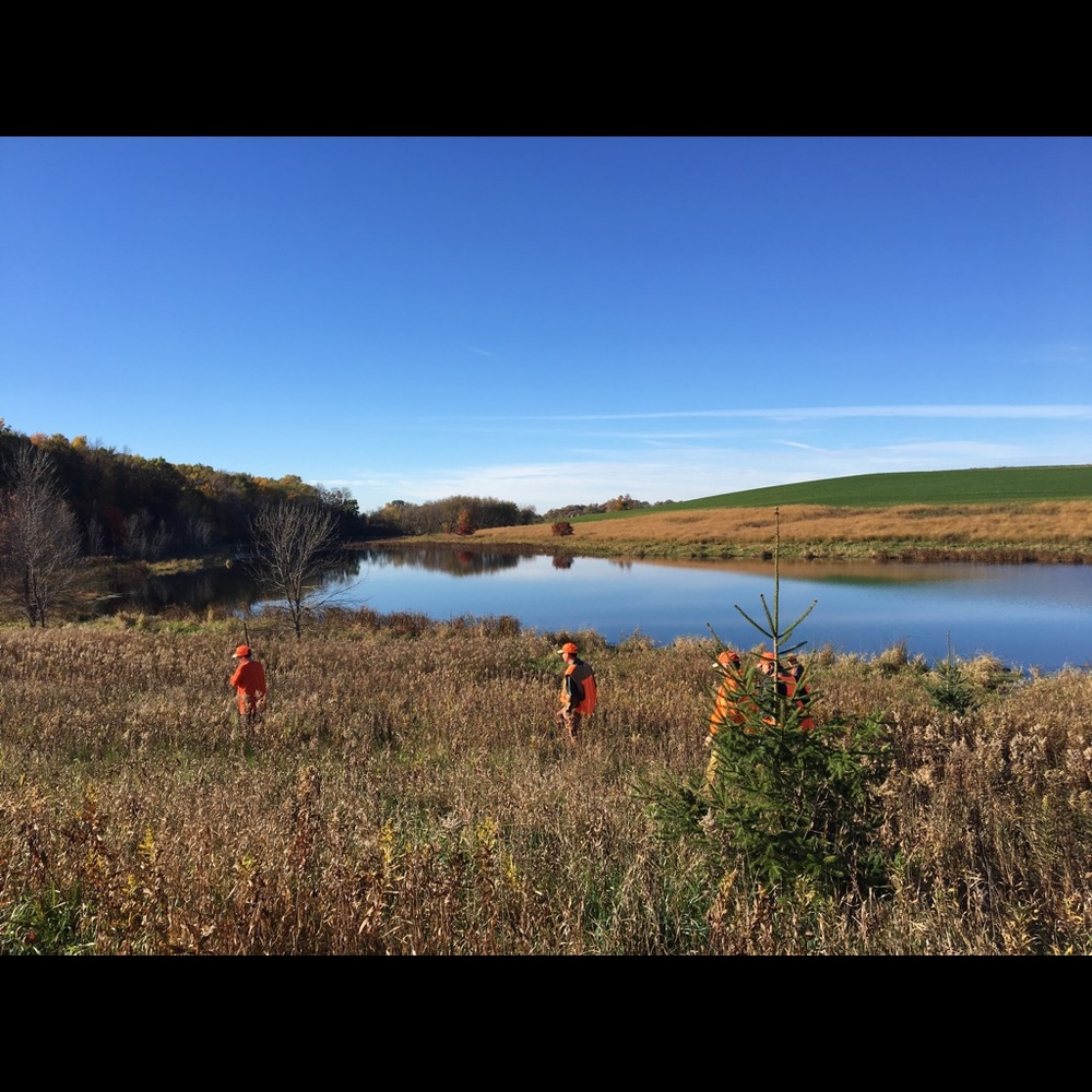 Meet your Posher, Molly