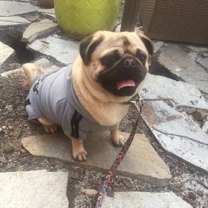 Meet your Posher, Ixchel