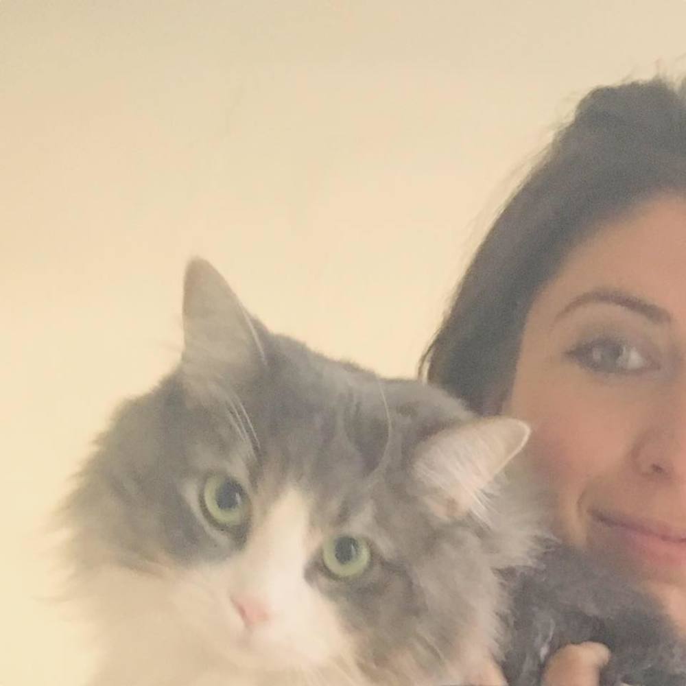 Meet your Posher, Moira