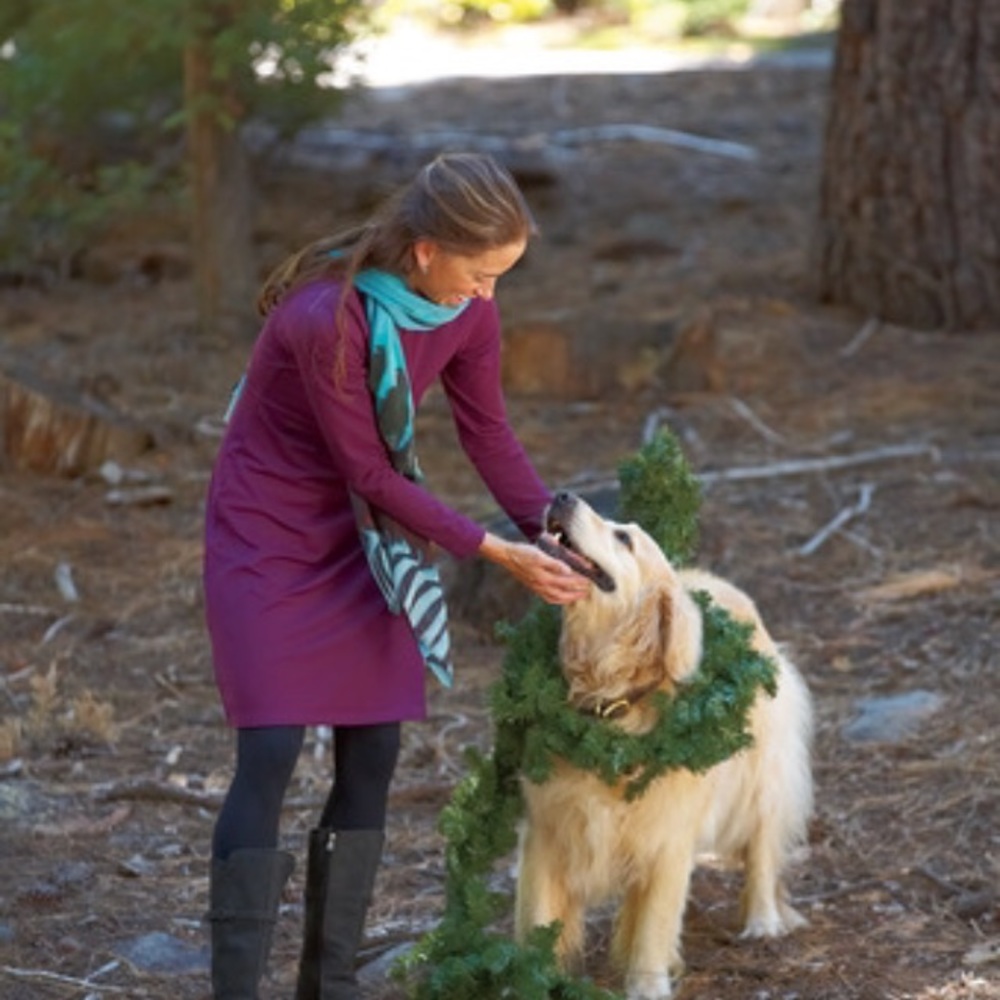 Title nine "getaway" dress