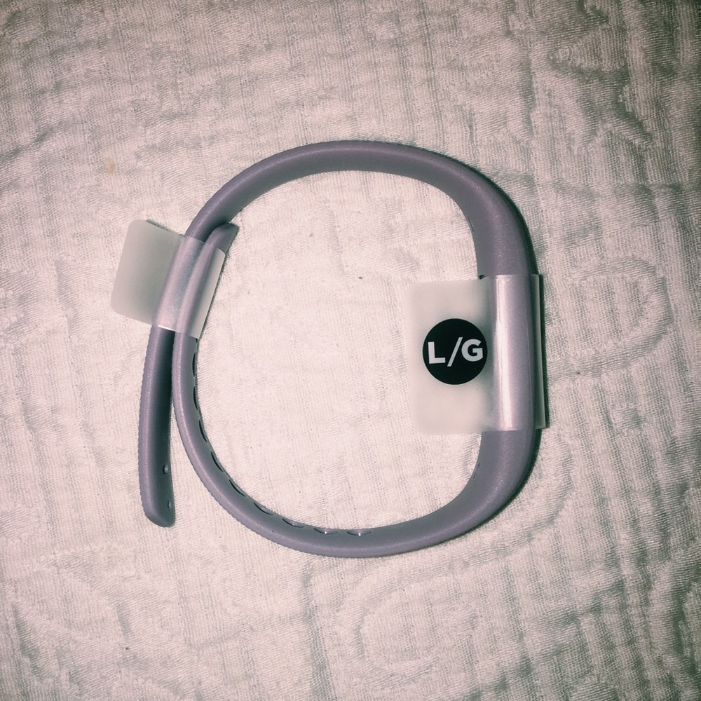 Fitbit Flex 2 | Lilac Band