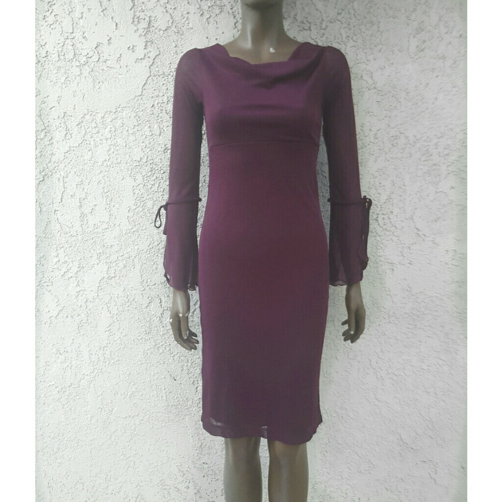 Maroon Mesh Overlay Dress with Sheer Sleeves