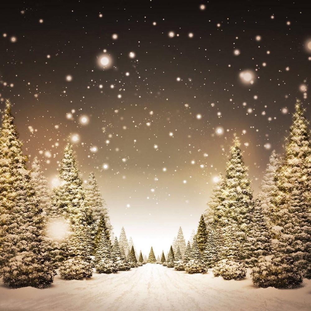 Meet your Posher, Marisel