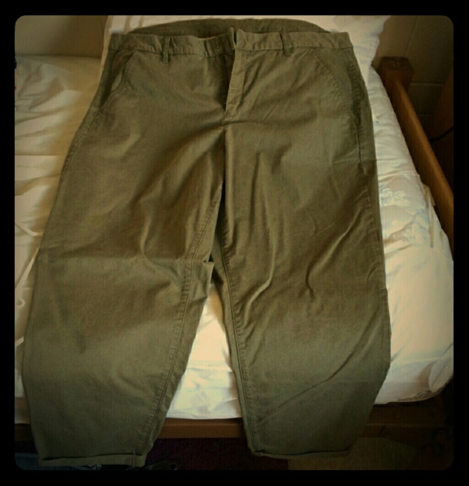 Boyfriend lane bryant green Chinos