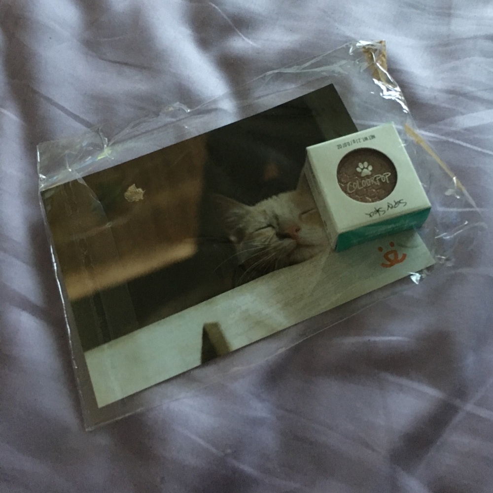 ColourPop rose gold eyeshadow new